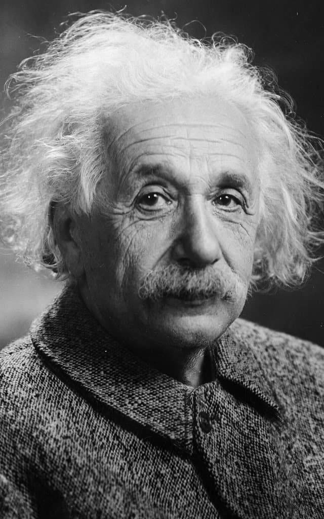 Portrait of Albert Einstein